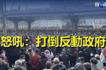 香港希望之聲