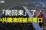 香港希望之聲 香港希望之聲