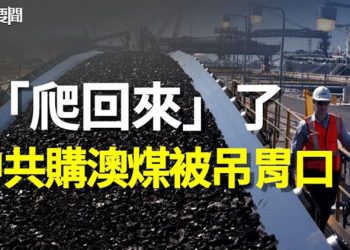 【每日要聞】情何以堪 中共拐回來買澳煤 被吊胃口 ；中共制裁兩美企窘態難掩 白宮不屑一顧；詭異 石家莊機場突然空管    主播：黃曉翔 鍾嘉慧