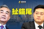 香港希望之聲