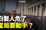 香港希望之聲 香港希望之聲