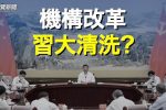 香港希望之聲 香港希望之聲