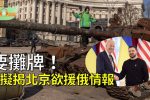 香港希望之聲 香港希望之聲