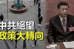 香港希望之聲