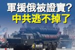 香港希望之聲