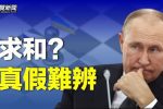 香港希望之聲 香港希望之聲