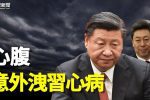 香港希望之聲 香港希望之聲