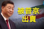 香港希望之聲 香港希望之聲