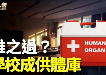 【唐人街】胡鑫宇事件引起很大的反響，警惕中共駭人手法…