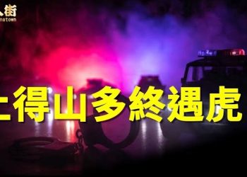 【唐人街】路邊野花不要採，潔身自愛才是處世良方，揭開世紀大劫案之迷…