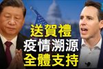 香港希望之聲