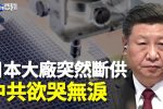 香港希望之聲