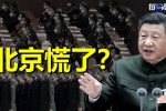 香港希望之聲