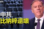 香港希望之聲 香港希望之聲
