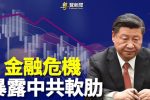 香港希望之聲 香港希望之聲