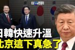 香港希望之聲 香港希望之聲