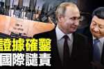 香港希望之聲