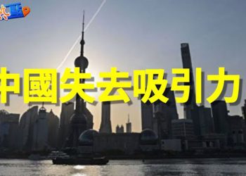 【財經熱點】今年以來，哪個板塊股票起飛了？華爾街聚焦，特斯拉大日子來啦！   主播：黃曉翔