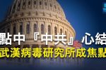 香港希望之聲
