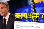 香港希望之聲