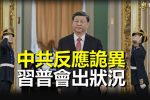 香港希望之聲 香港希望之聲