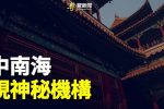 香港希望之聲