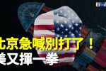 香港希望之聲 香港希望之聲