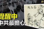 香港希望之聲