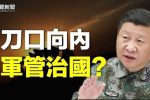 香港希望之聲