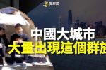 香港希望之聲