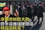 香港希望之聲