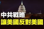 香港希望之聲