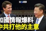 香港希望之聲
