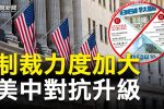 香港希望之聲 香港希望之聲