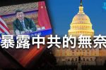 香港希望之聲