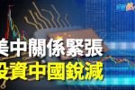 香港希望之聲