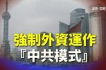 香港希望之聲 香港希望之聲