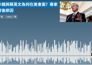 麥卡錫與蔡英文為何在美會面？專家析背後原因