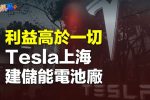 香港希望之聲