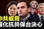 香港希望之聲