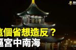 香港希望之聲