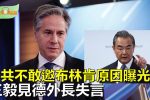 香港希望之聲
