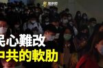 香港希望之聲