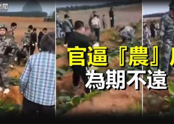 【粵覽新聞】農民起義？學者指習推農管两大目的；雪糕事件發酵 比亞迪寶馬對比鮮明  主播：芬妮