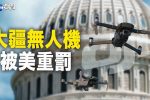 香港希望之聲 香港希望之聲