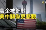 香港希望之聲 香港希望之聲