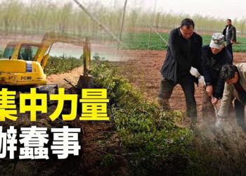 【新聞熱點】中國各地瘋狂「退林還耕」，疑面臨生存危機，是否將引發農民起義？主播：林茵 張恩