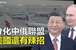 香港希望之聲 香港希望之聲