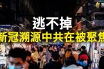 香港希望之聲 香港希望之聲