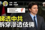 香港希望之聲